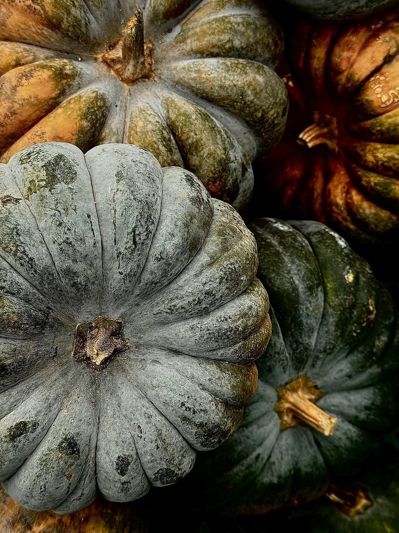 Halloween upcycling